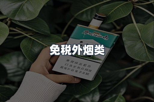 免税外烟类